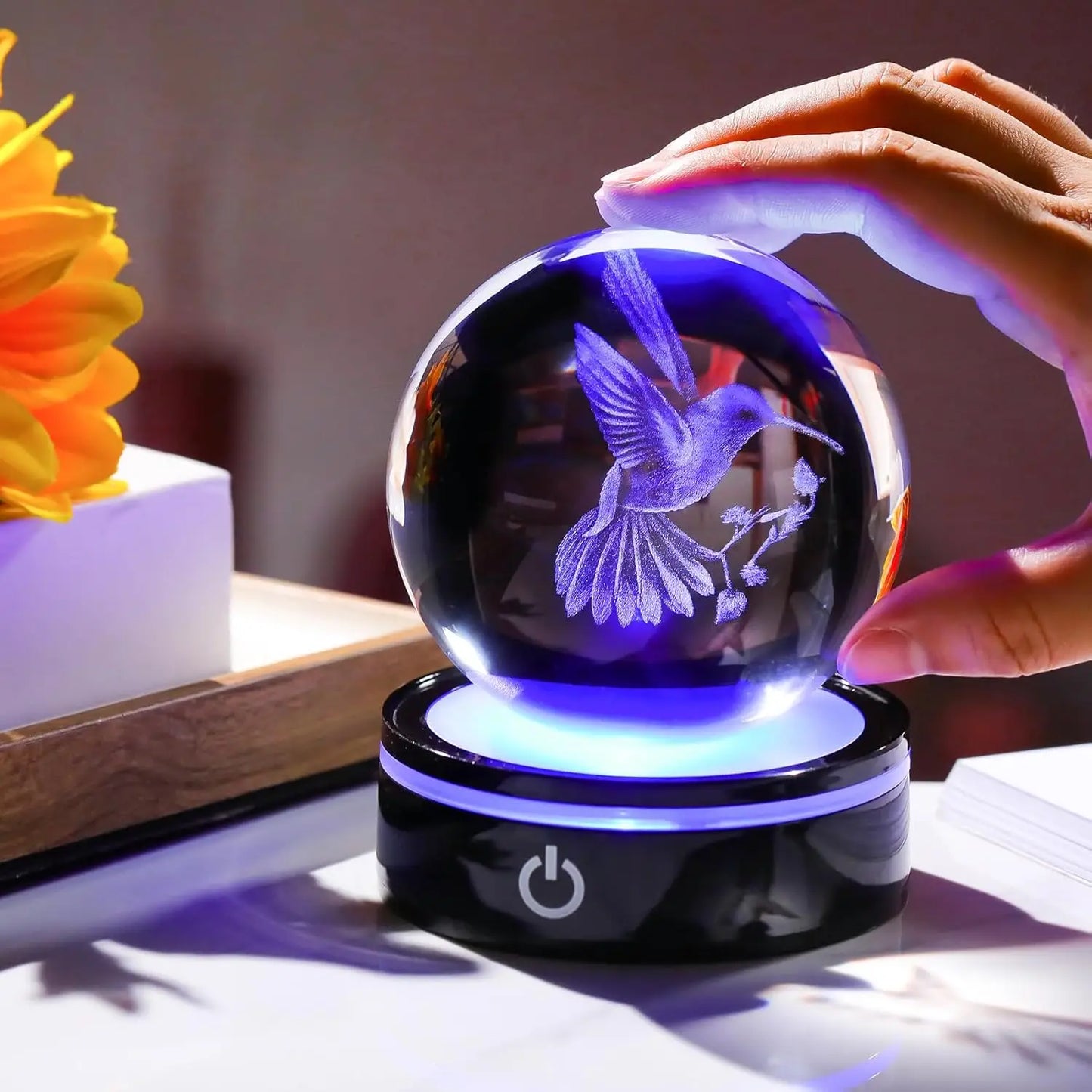 Bola Cristal 3D Colibrí LED Decorativa
